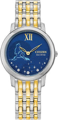 Watch Disney Princess Ariel